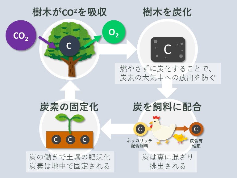 サイクル