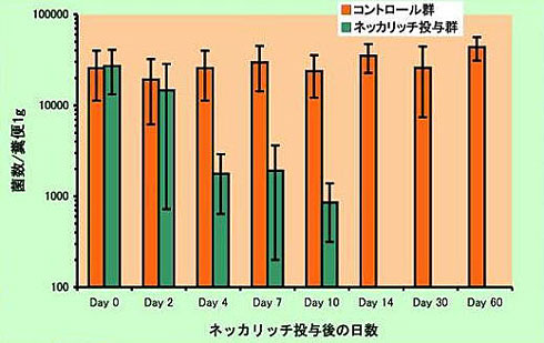 実験結果