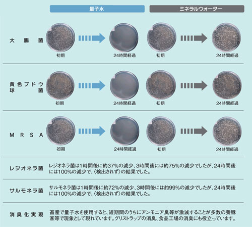 制菌効果検査結果